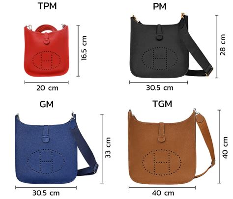 hermes evelyne size guide.